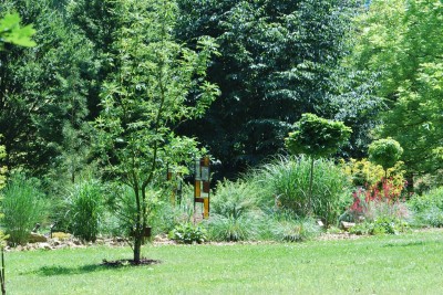 Žampach arboretum - horní park - léto (69)