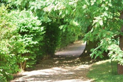 Žampach arboretum - horní park - léto (9)
