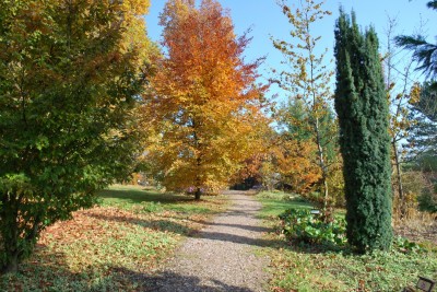 Žampach arboretum - horní park - podzim (2)