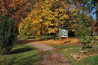 Žampach arboretum - horní park - podzim (3)