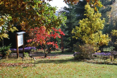Žampach arboretum - horní park - podzim (5)