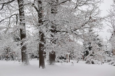 Žampach Arboretum - horní park - zima 2021