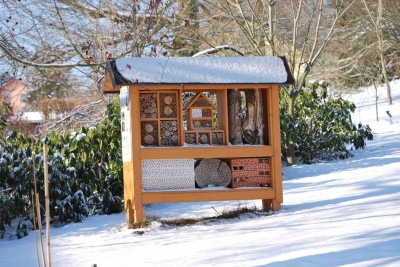 Žampach Arboretum - zima 2019 (70)