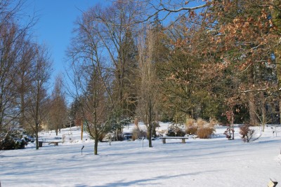 Žampach Arboretum - zima 2019 (79)