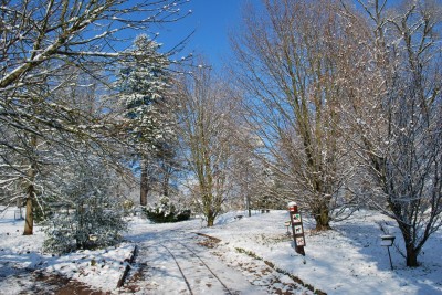 Žampach arboretum - horní park - zima
