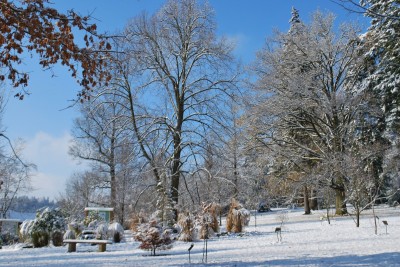 Žampach arboretum - horní park - zima 13