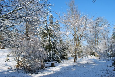 Žampach arboretum - horní park - zima 22