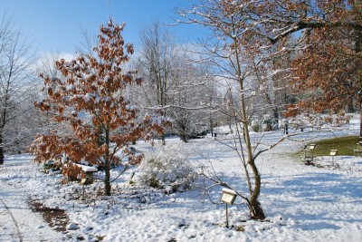 Žampach arboretum - horní park - zima 23