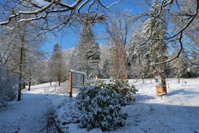Žampach arboretum - horní park - zima 26