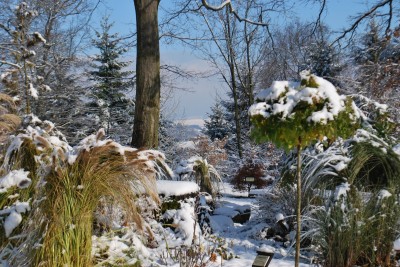 Žampach arboretum - horní park - zima 32