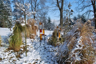 Žampach arboretum - horní park - zima 34