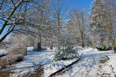 Žampach arboretum - horní park - zima 5
