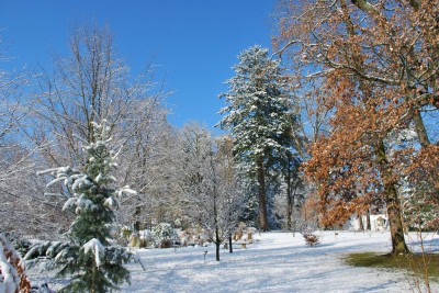 Žampach arboretum - horní park - zima 8