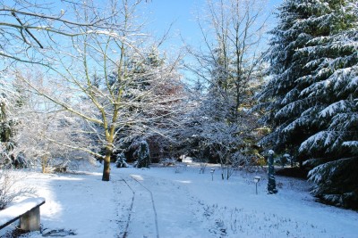 Žampach arboretum - horní park - zima 9