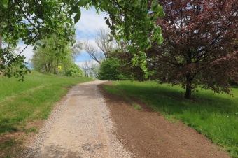 2019 Cesta v dolním parku po dokončení (11.5.)