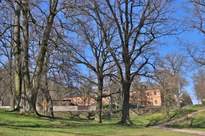 Žampach Arboretum - dolní park - jaro 2024 (4)