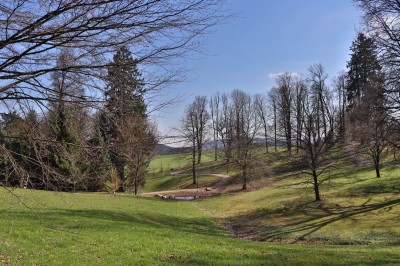 Žampach Arboretum - dolní park - jaro 2024 (5)