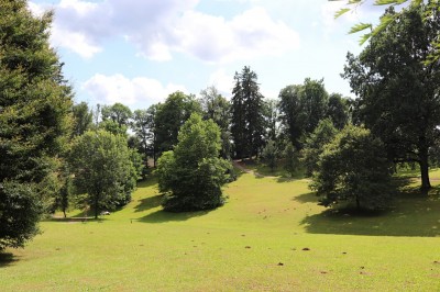 Žampach Arboretum - dolní park - léto 2021