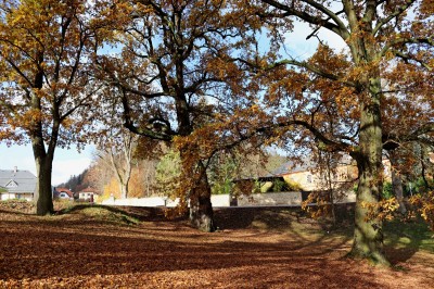 Žampach Arboretum - dolní park - podzim (1) 2020