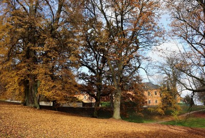 Žampach Arboretum - dolní park - podzim (4) 2020