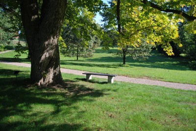 Žampach Arboretum - dolní park 2019 - nová cesta (2)