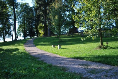 Žampach Arboretum - dolní park 2019 - nová cesta (3)