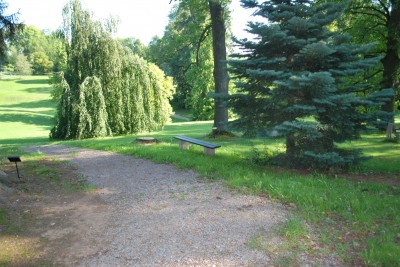 Žampach Arboretum - dolní park 2019 - nová cesta (6)