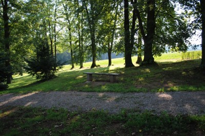 Žampach Arboretum - dolní park 2019 - nová cesta (7)