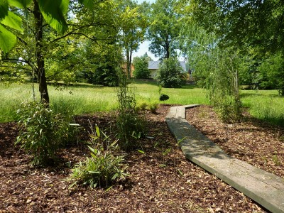 Žampach arboretum - dolní park - bambusárium 01