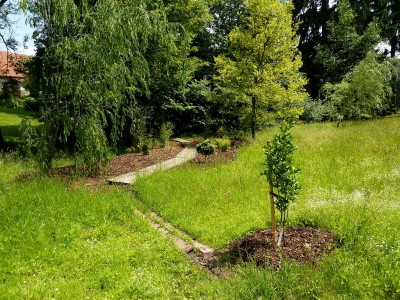 Žampach arboretum - dolní park - bažinná část 02