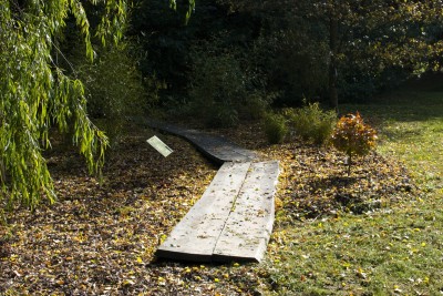 Žampach arboretum - dolní park - bažinná část 05
