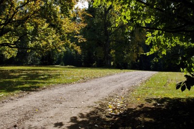 Žampach arboretum - dolní park - cesta k ohništi 01