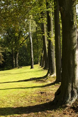 Žampach arboretum - dolní park - hranice parku01