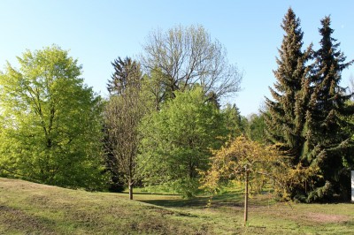 Žampach arboretum - dolní park - jaro