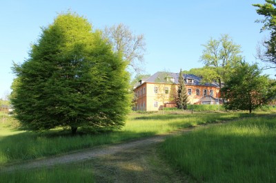 Žampach arboretum - dolní park - jaro (11)