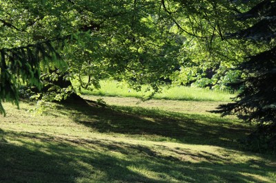 Žampach arboretum - dolní park - jaro (14)