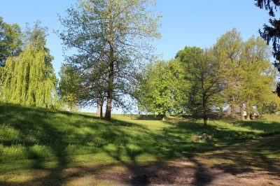 Žampach arboretum - dolní park - jaro (21)