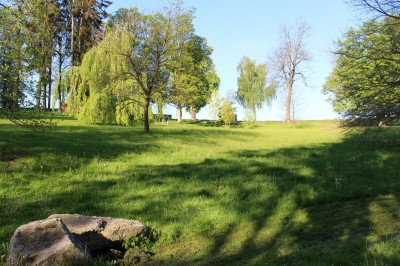 Žampach arboretum - dolní park - jaro (22)