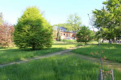 Žampach arboretum - dolní park - jaro (24)