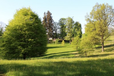 Žampach arboretum - dolní park - jaro (27)