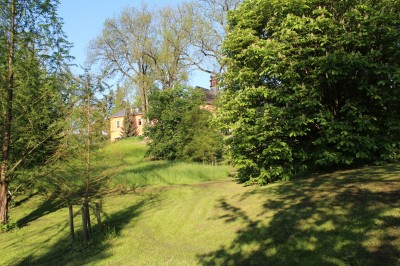 Žampach arboretum - dolní park - jaro (2)