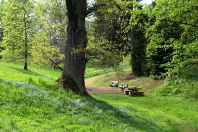 Žampach arboretum - dolní park - jaro (37)
