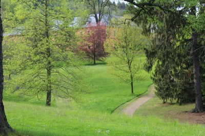 Žampach arboretum - dolní park - jaro (38)