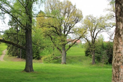 Žampach arboretum - dolní park - jaro (40)
