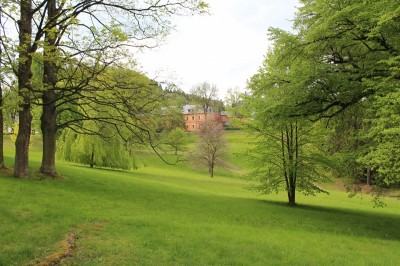 Žampach arboretum - dolní park - jaro (42)