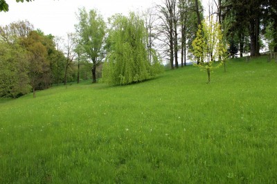 Žampach arboretum - dolní park - jaro (46)