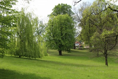 Žampach arboretum - dolní park - jaro (56)