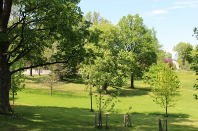 Žampach arboretum - dolní park - jaro (58)