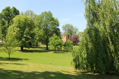 Žampach arboretum - dolní park - jaro (59)