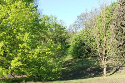 Žampach arboretum - dolní park - jaro (5)